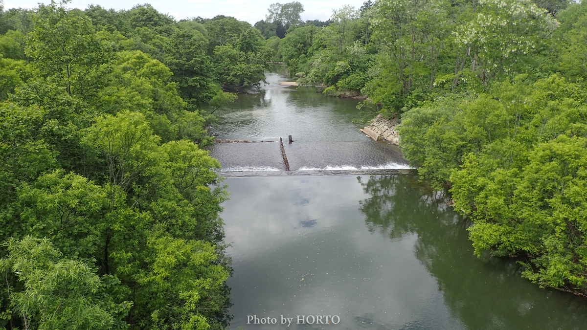f:id:holto:20190709134401j:plain