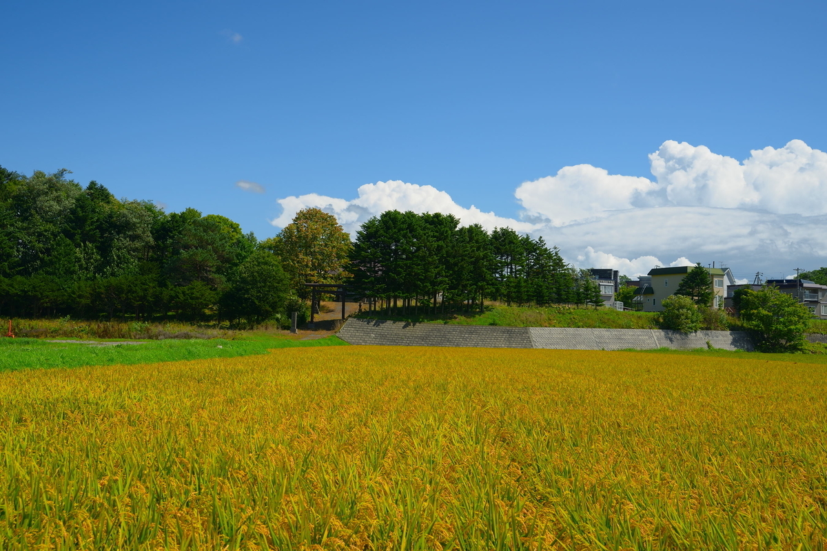 f:id:holto:20190901155157j:plain f:id:holto:20190901155157j:plain
