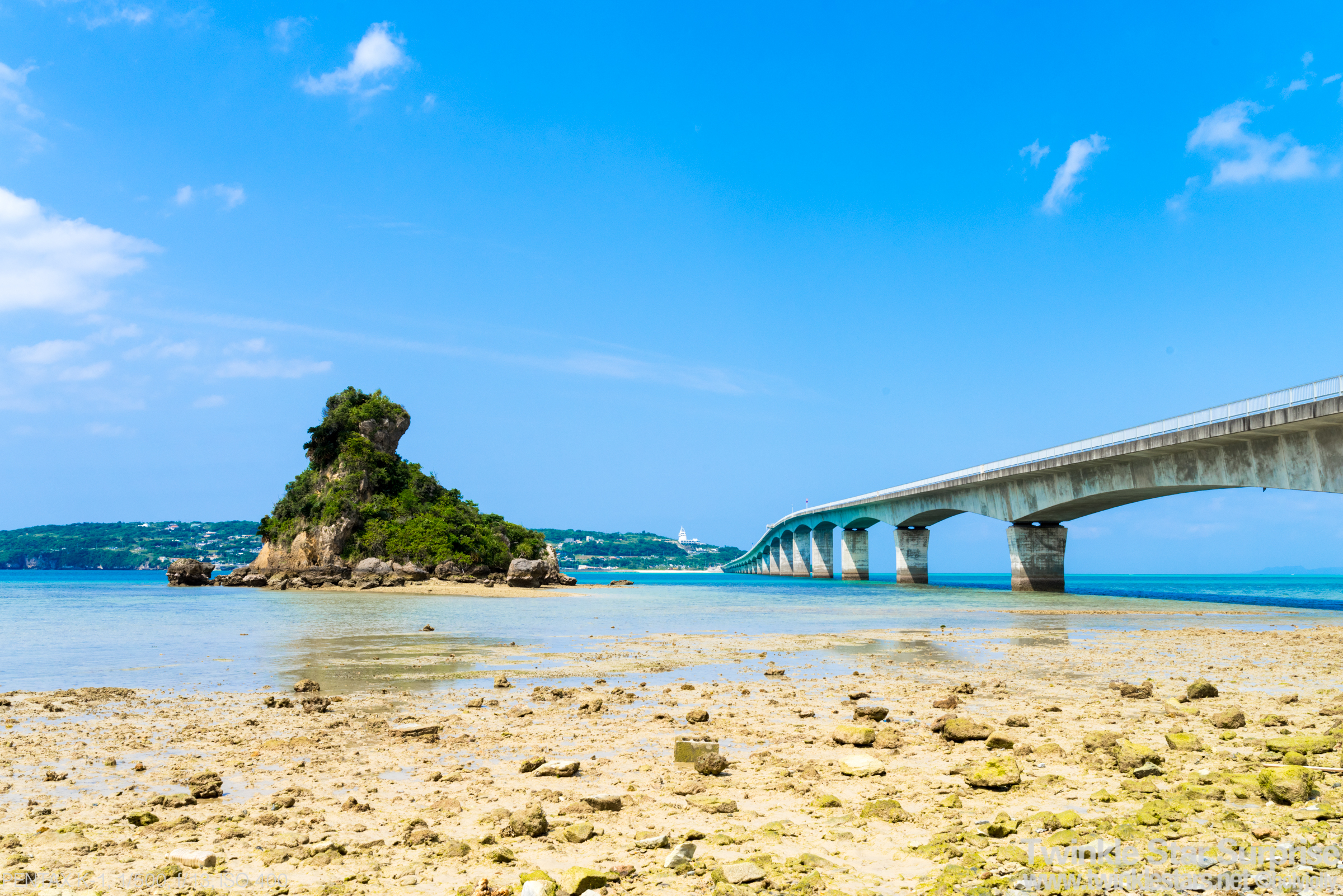 f:id:holy-jolly:20180117174813j:plain 比較用D