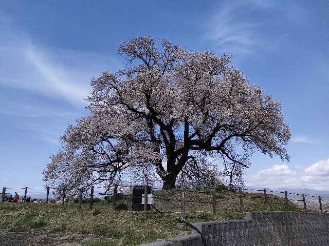 f:id:homachiha:20240421181603j:image
