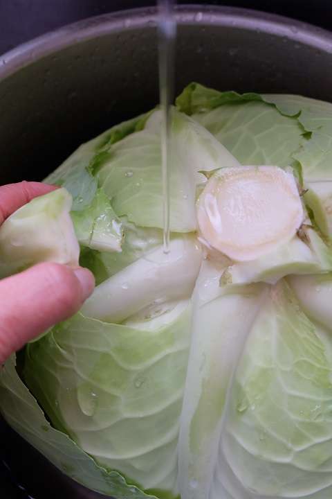 必要な分だけキャベツの葉を剥がす