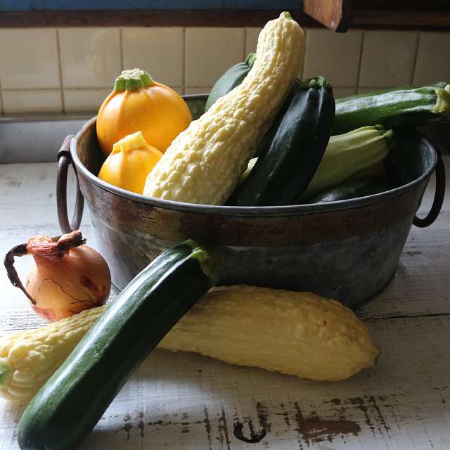 いろんなズッキーニ