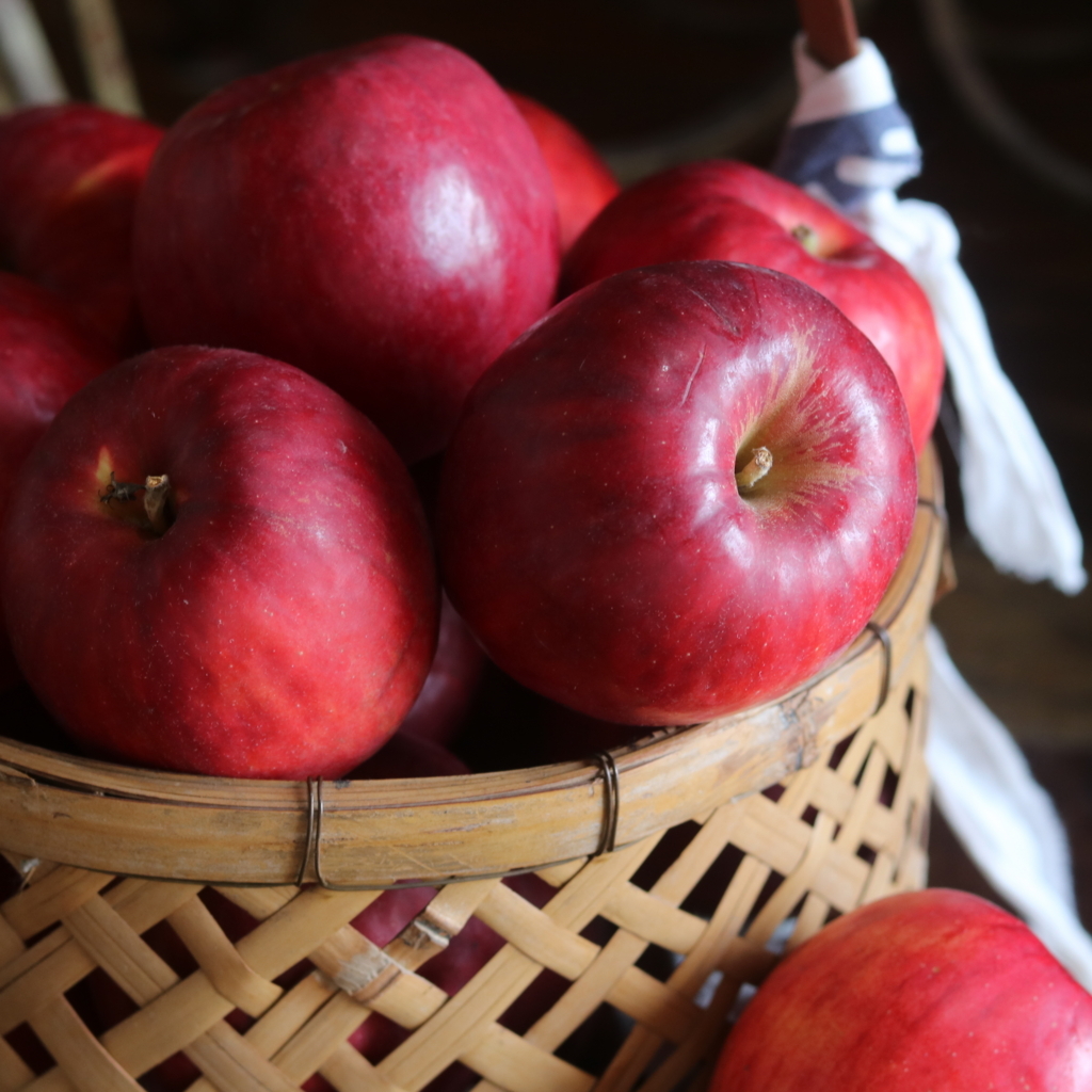 f:id:homare-temujin:20171104105314j:plain f:id:homare-temujin:20171104105314j:plain