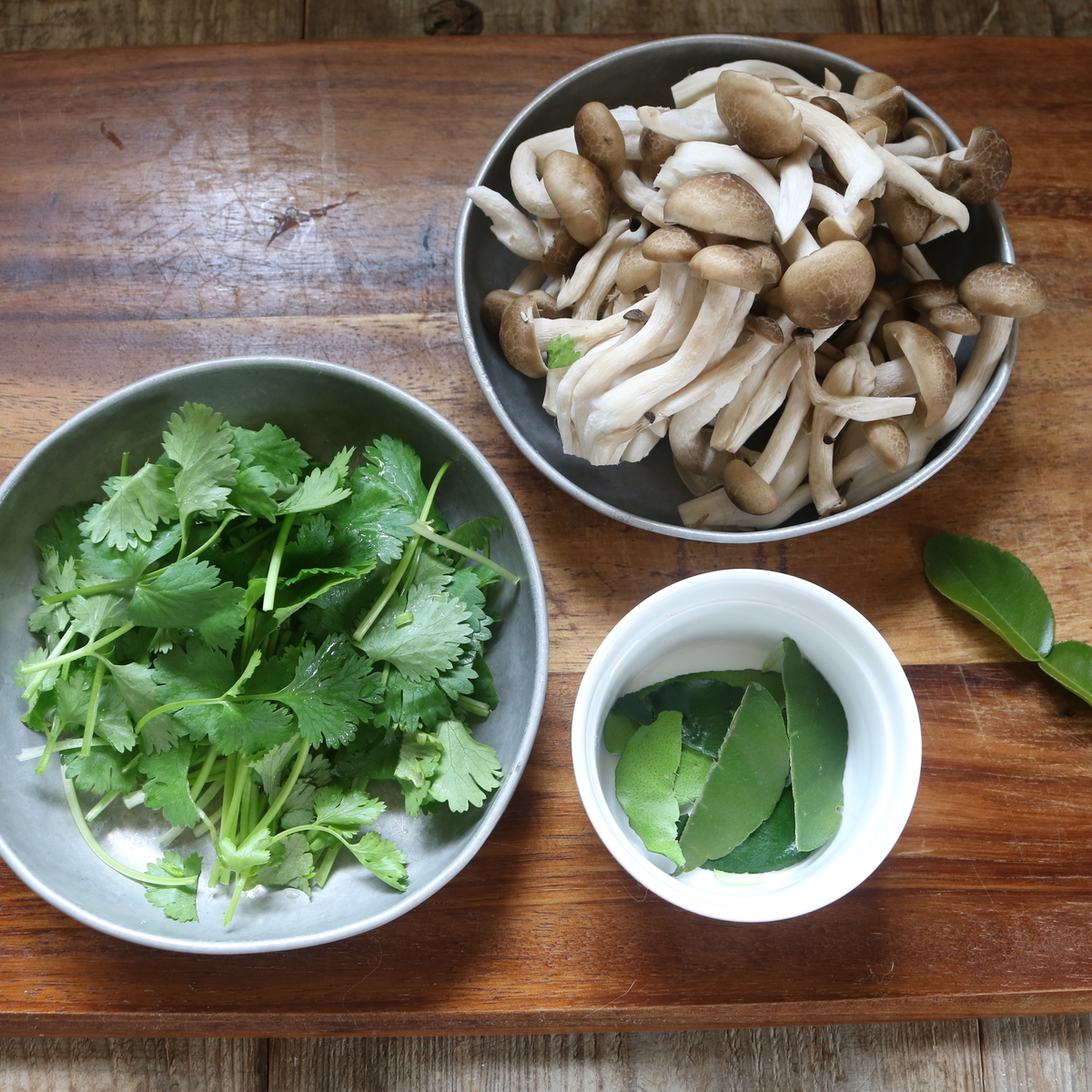 f:id:homare-temujin:20191211131139j:plain f:id:homare-temujin:20191211131139j:plain