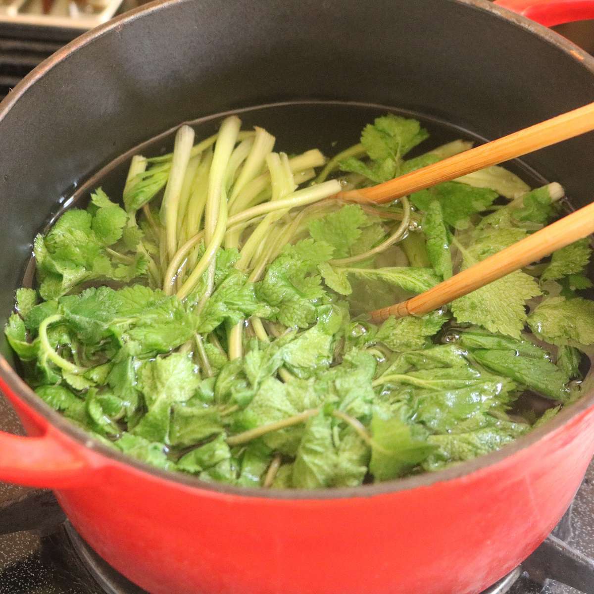 f:id:homare-temujin:20210331101442j:plain