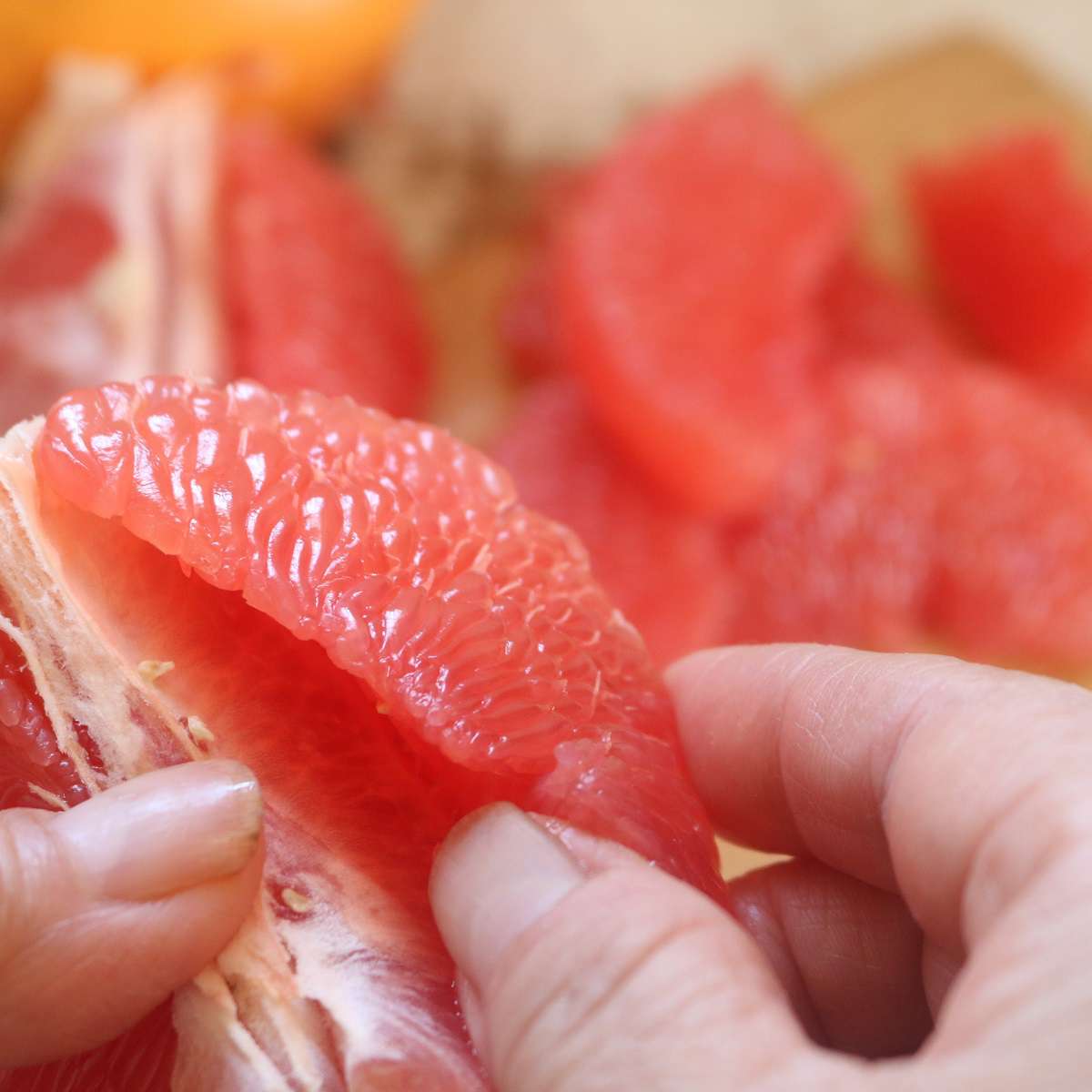 f:id:homare-temujin:20210505212447j:plain