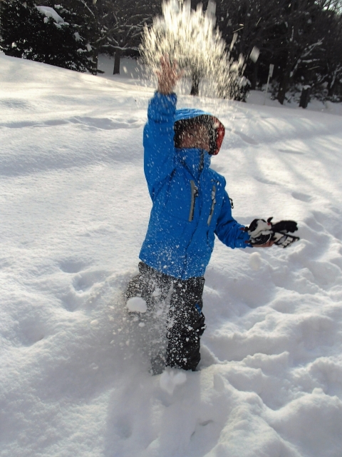 f:id:home-run:20180225225324j:plain f:id:home-run:20180225225324j:plain