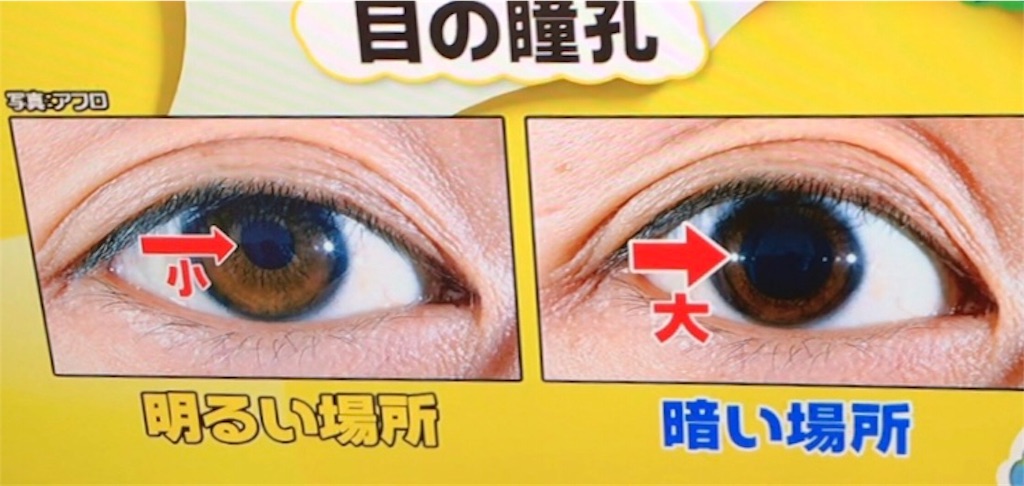 f:id:home-run:20180718210343j:image