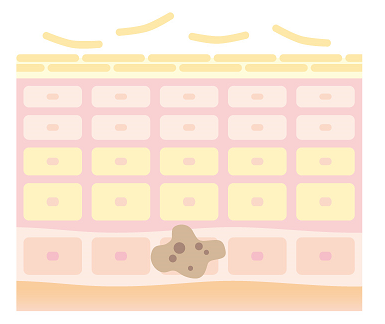 f:id:home-run:20190211215844p:plain