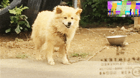 f:id:homeotic:20170814015114g:plain