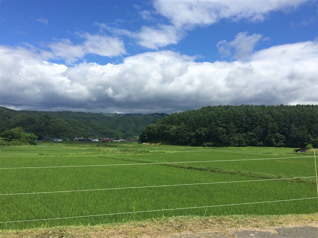 f:id:homey0902:20191231184132j:image