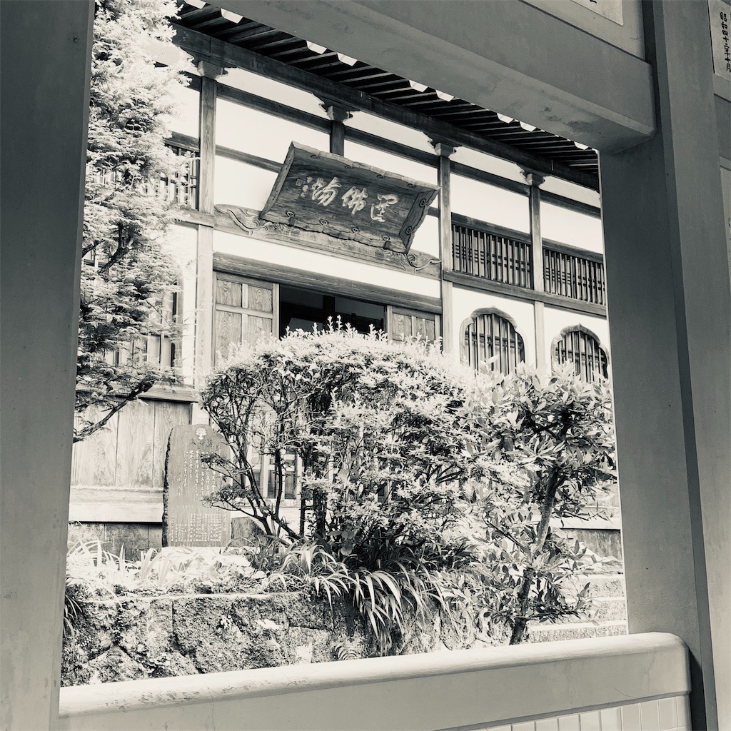 f:id:homideirahi:20190624203947j:image f:id:homideirahi:20190624203947j:image