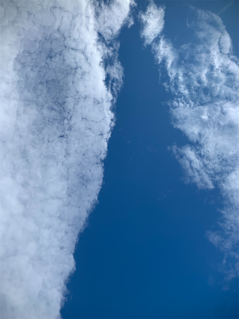 f:id:homideirahi:20191205214200j:image