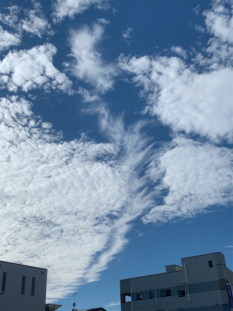f:id:homideirahi:20191205214204j:image