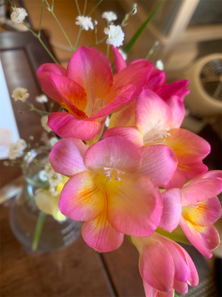 f:id:homideirahi:20200313204206j:image