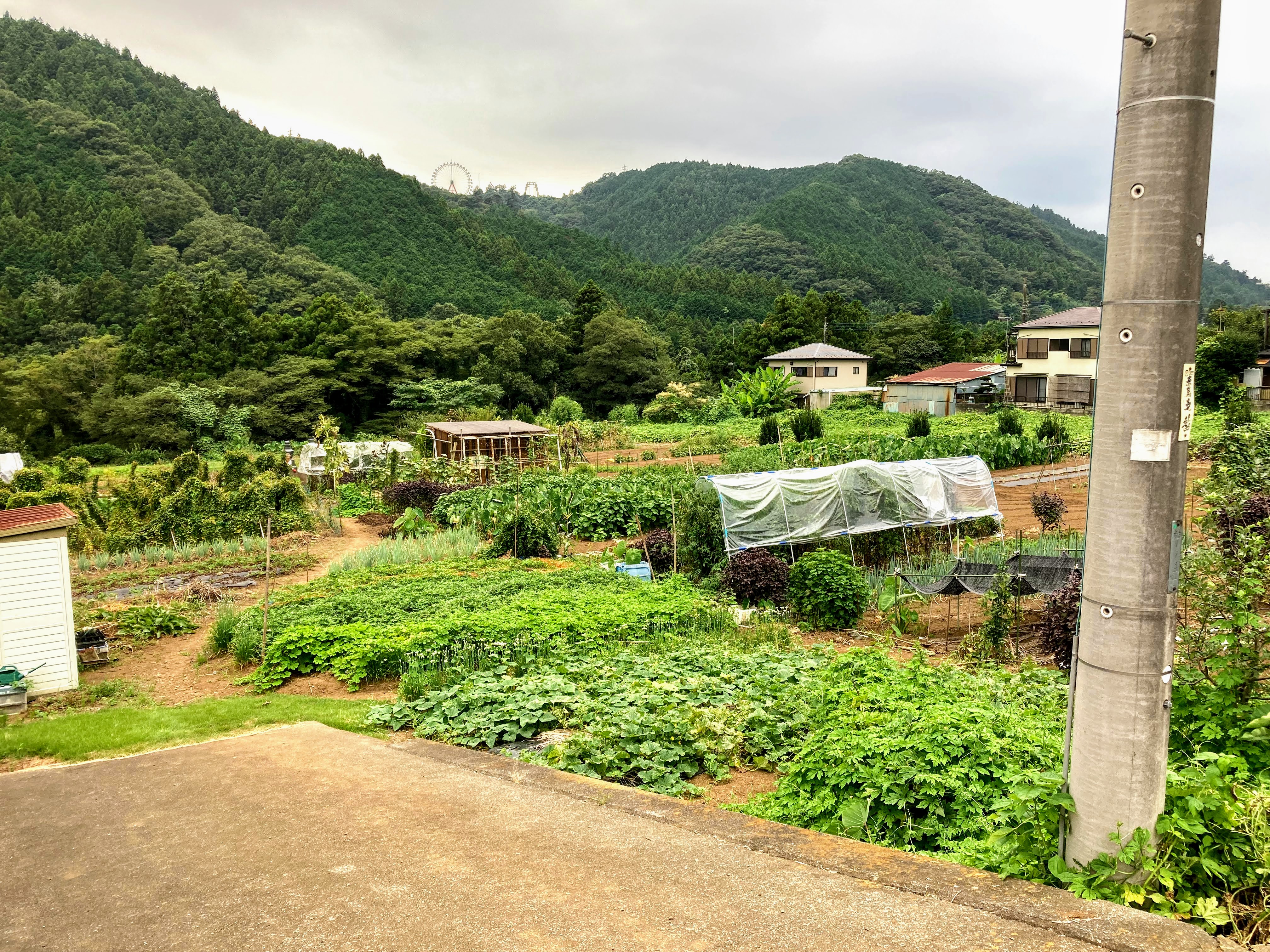 f:id:hommasusumu:20210902154754j:plain