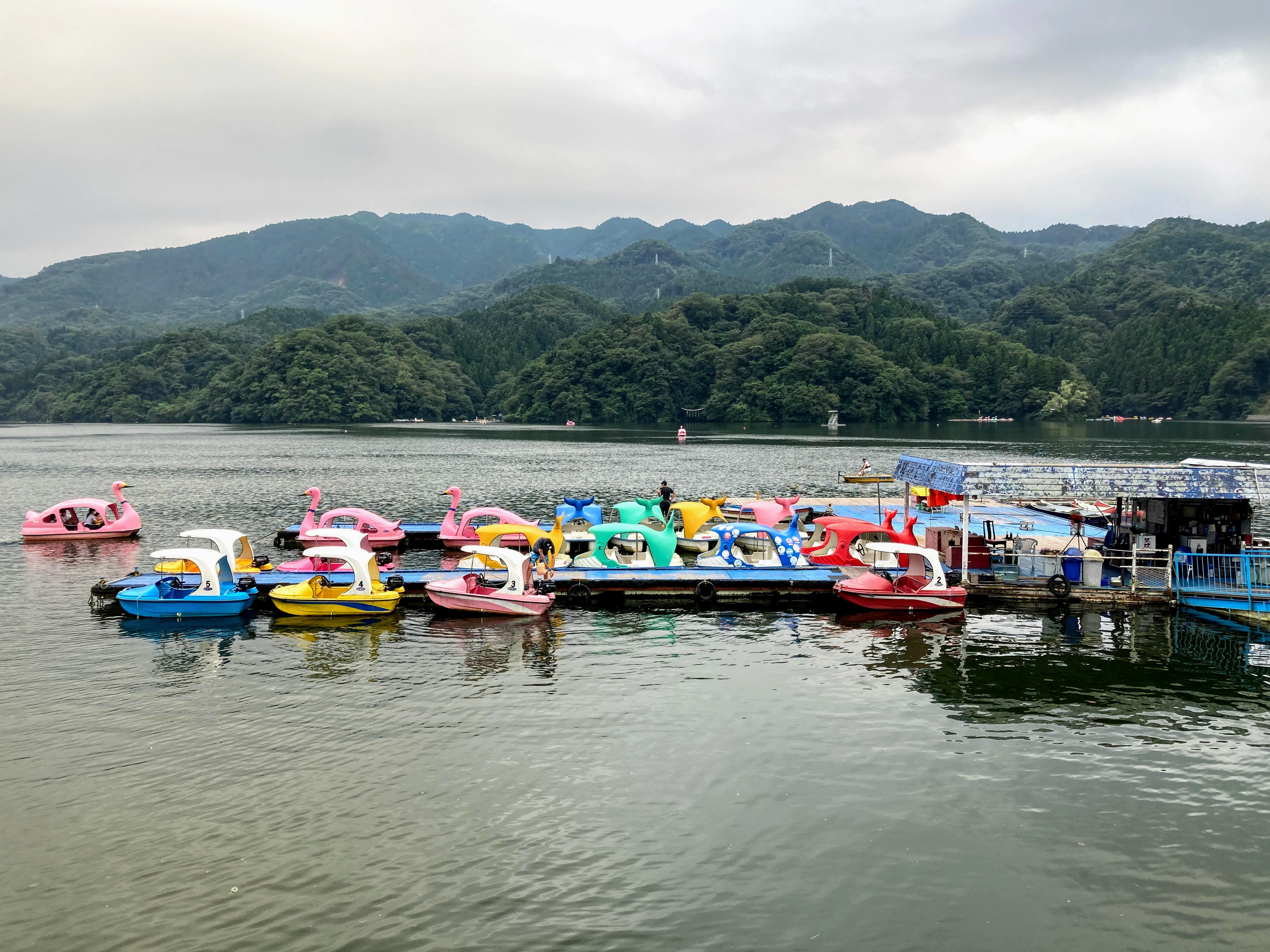 f:id:hommasusumu:20210902155036j:plain