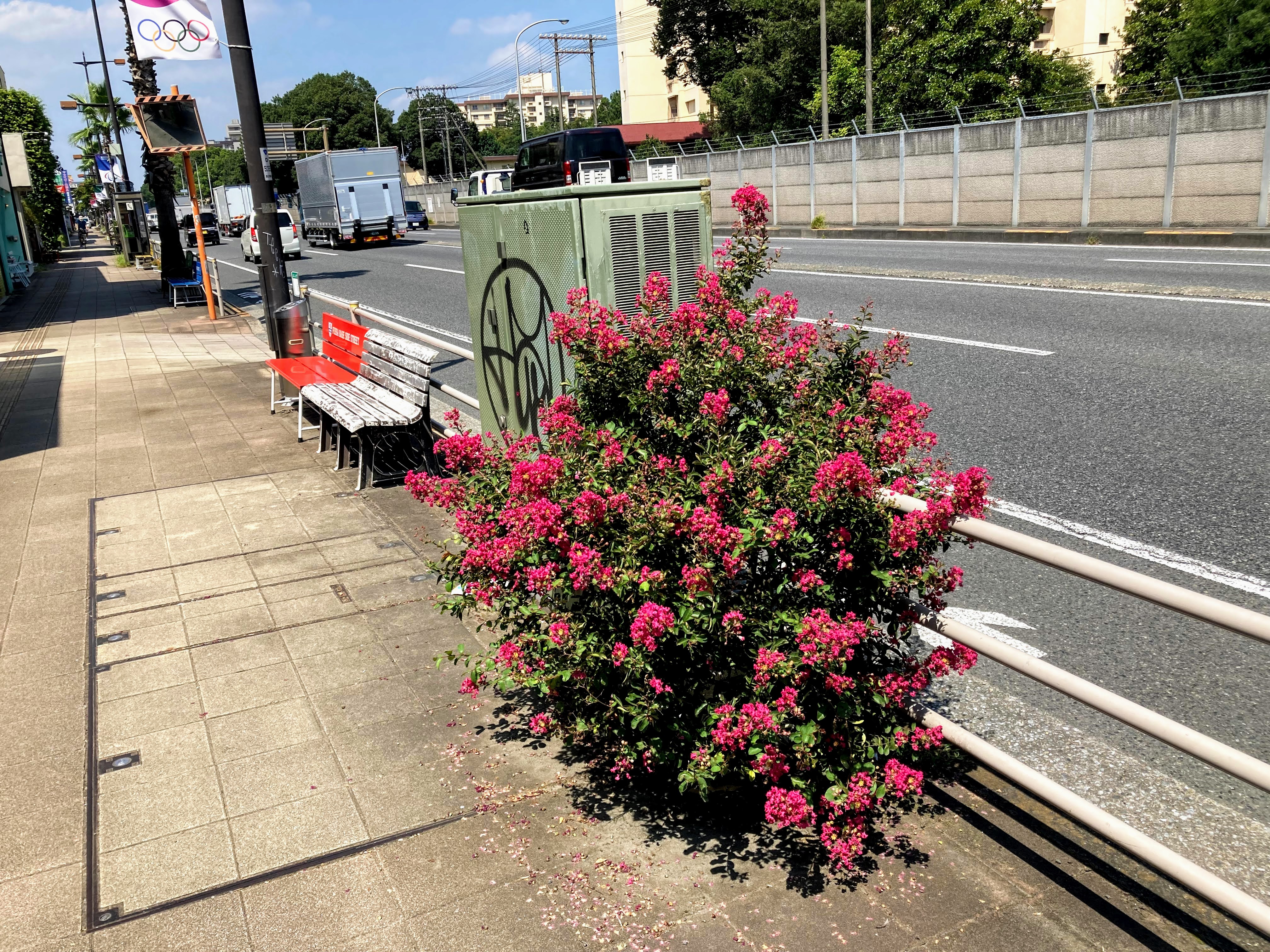 f:id:hommasusumu:20210902155406j:plain