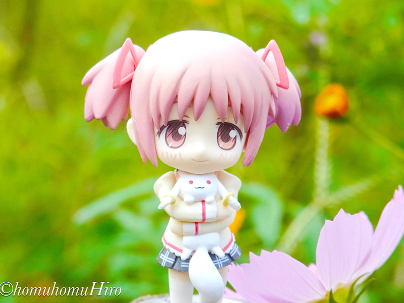 f:id:homuhomuHiro:20161016222338p:plain