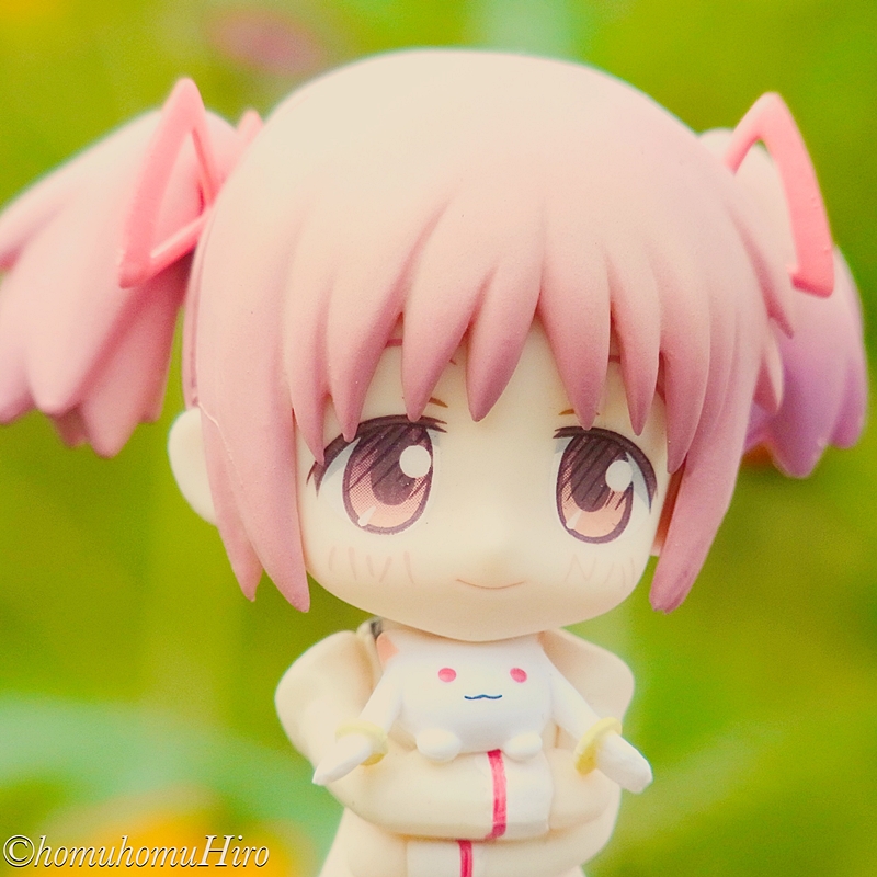 f:id:homuhomuHiro:20161016222340j:plain