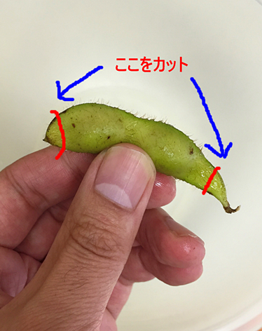 f:id:homuhomuHiro:20161023225626p:plain