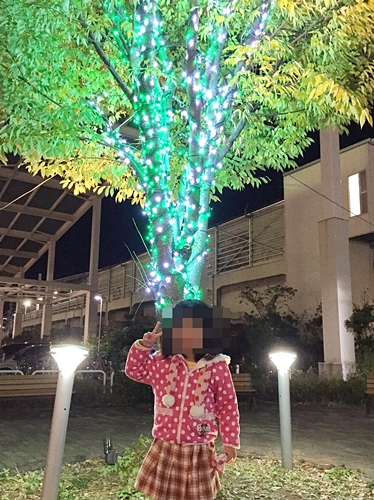 f:id:homuhomuHiro:20161130224959j:plain