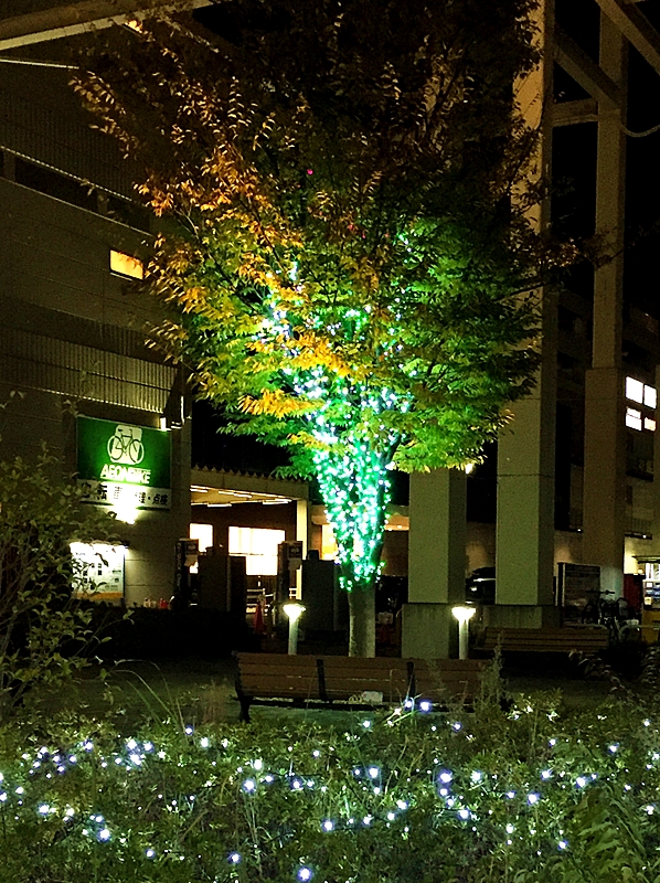 f:id:homuhomuHiro:20161130225005j:plain