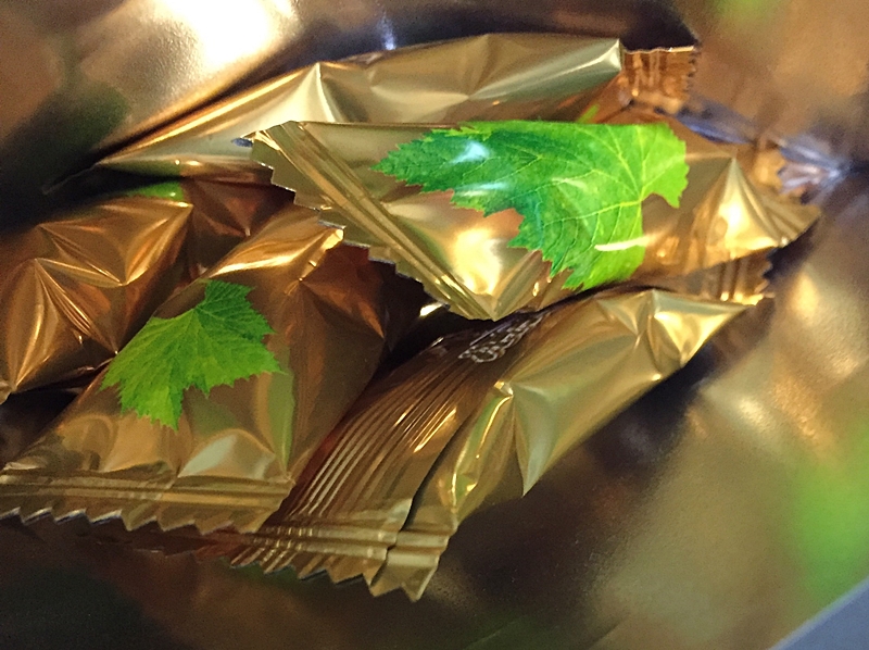 f:id:homuhomuHiro:20171002233014j:plain