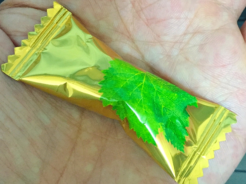 f:id:homuhomuHiro:20171002233019j:plain