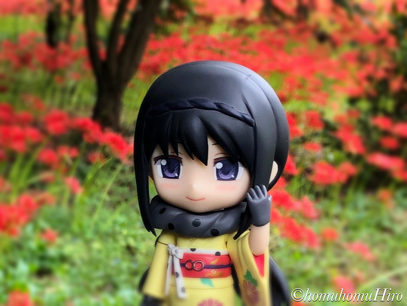 f:id:homuhomuHiro:20180920202411p:plain
