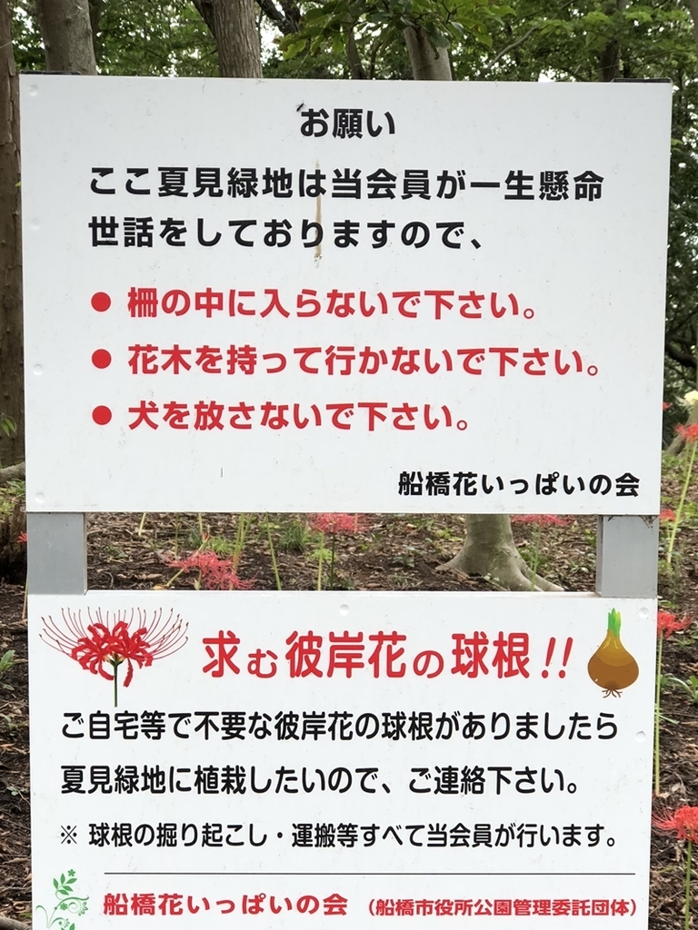 f:id:homuhomuHiro:20180920225211j:plain