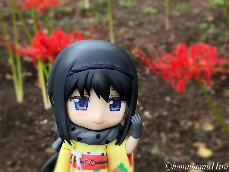 f:id:homuhomuHiro:20180920232149p:plain