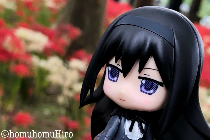 f:id:homuhomuHiro:20200929230659p:plain