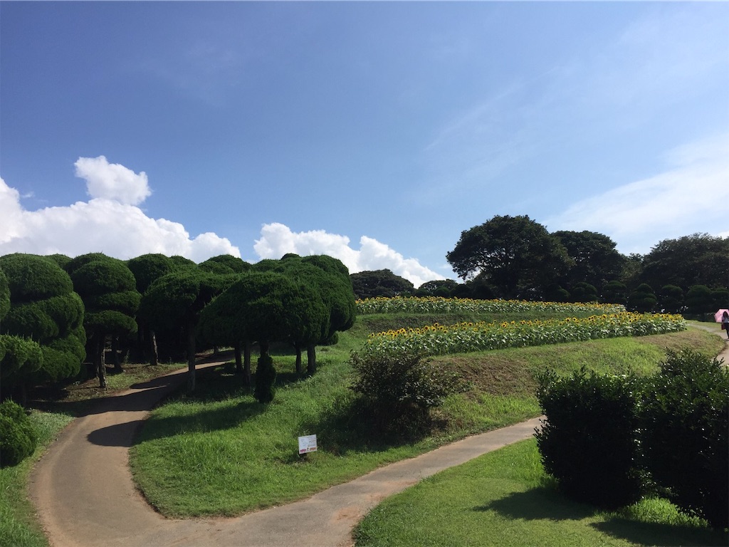 f:id:hon-no-niwa:20190819174944j:image