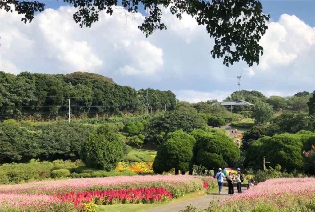 f:id:hon-no-niwa:20190819175344j:image