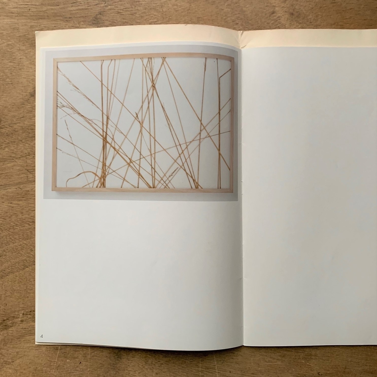 ヘルマン・デ・フリース herman de vries - 本まるさんかくしかく Blog