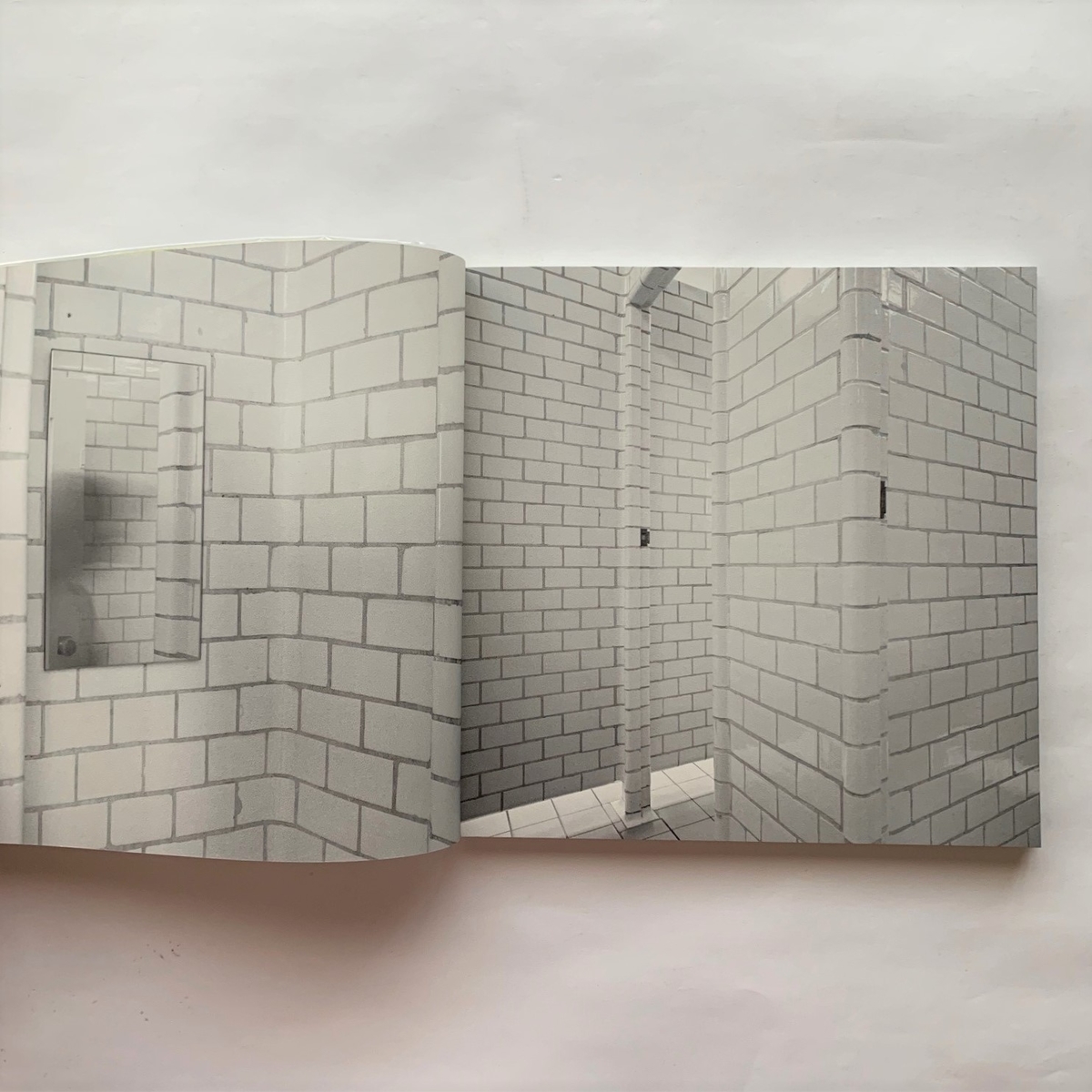 Her, Her, Her, & Her Roni Horn ロニ・ホーン Roni Horn | Her, Her, Her, and Her | The Guggenheim Museums