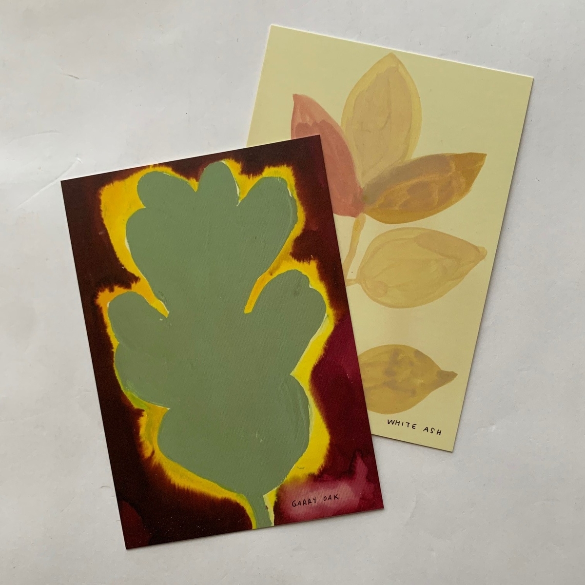 Native Trees of Canada ポストカード・セット 本まるさんかくしかく Blog