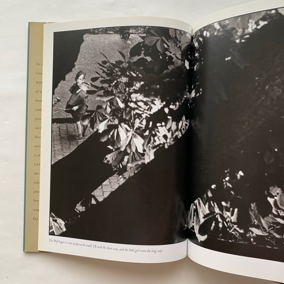 Little Red Riding Hood / Photographs by Sarah Moon / サラ・ムーン