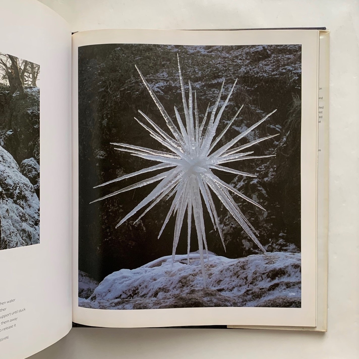 現代美術家アンディゴールズウォスリイ写真集　 ボイス 現代美術家アンディゴールズウォスリイ写真集 ボイス 現代美術家