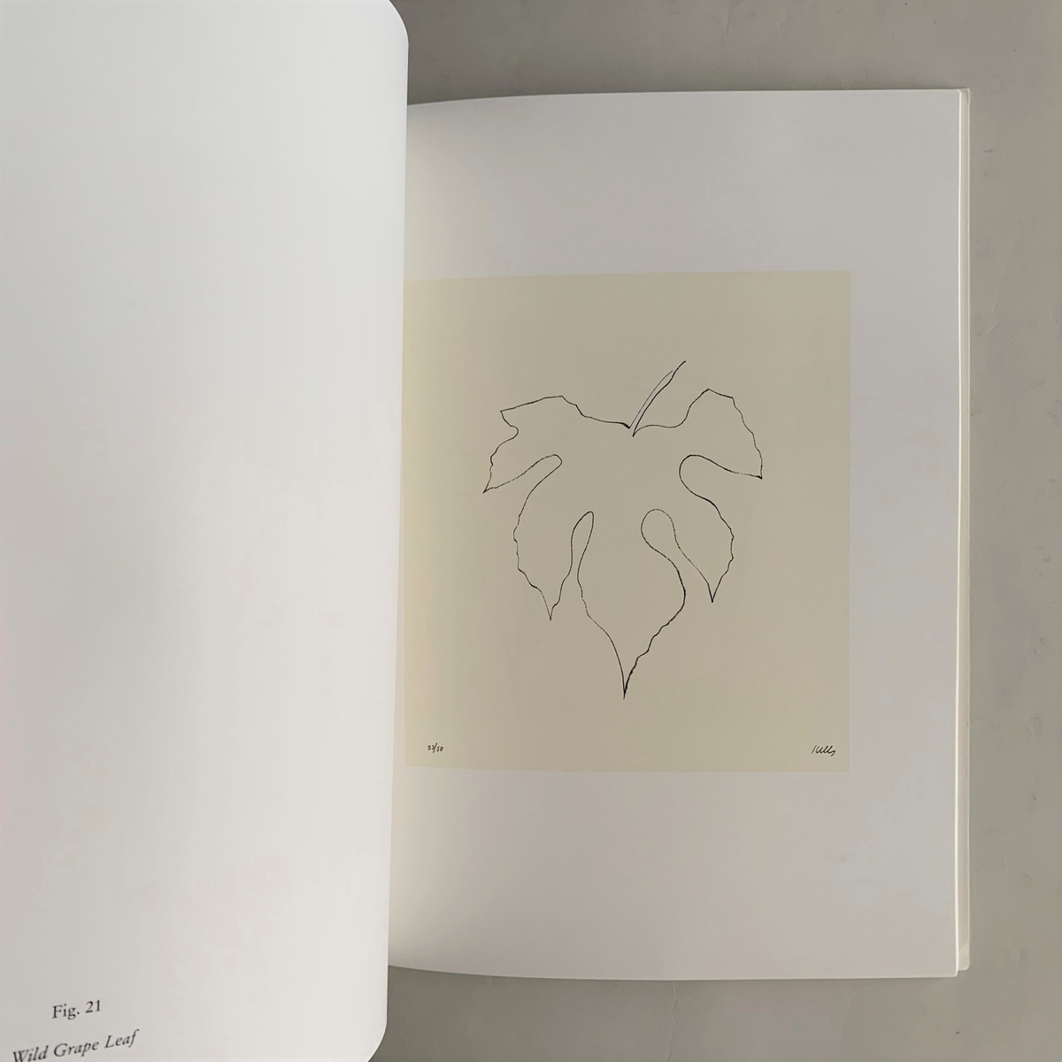 Ellsworth Kelly: Plant Lithographs 1973-1997 - 本まるさんかくし