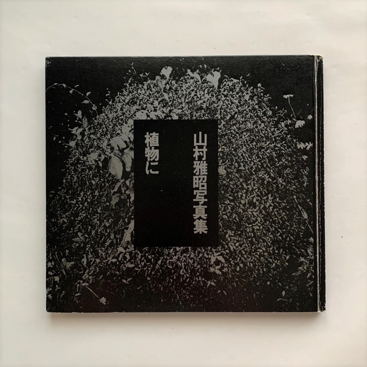 山村雅昭 写真集『花狩』 Amazon.co.jp: 花狩 山村雅昭写真集 : 山村