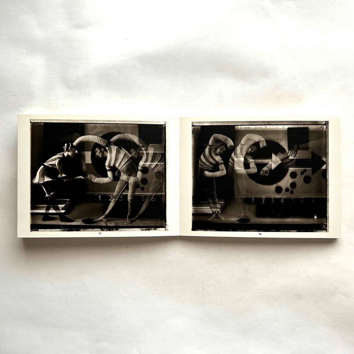 サラ・ムーン写真集 SOUVENIRS IMPROBABLES Sarah Moon サラ・ムーン 写真集 - 古本