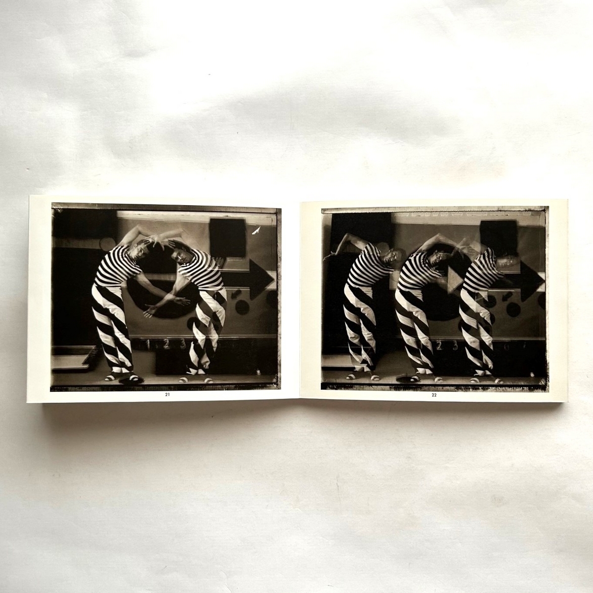 サラ・ムーン写真集 サラ・ムーン写真集 Sarah Moon Vrais Semblants 幻化 | nostos