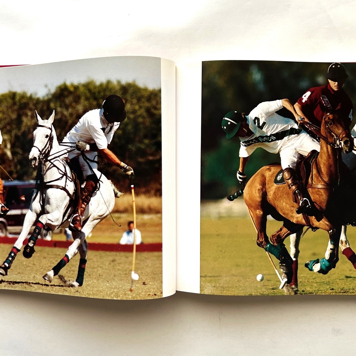 Polo Susan Barrantes Blog polo-susan-barrantes-blog