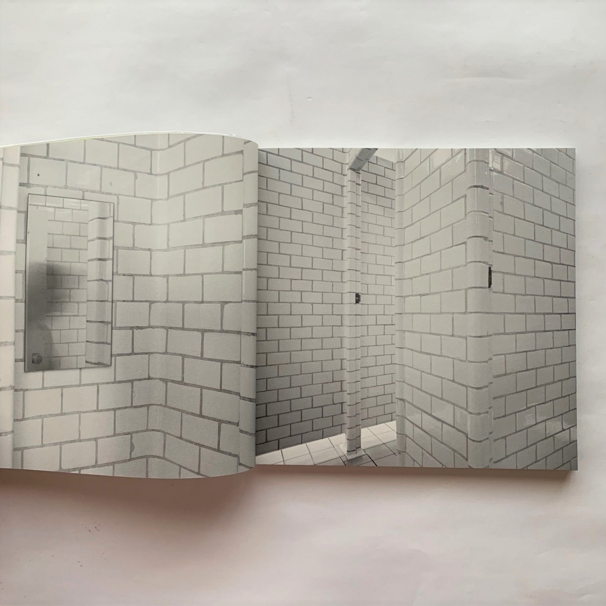 Her, Her, Her And Hers / Roni Horn - 本まるさんかくしかく Blog