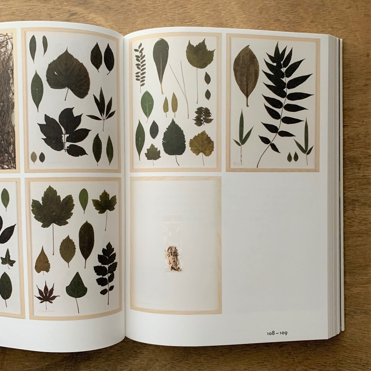 herman de vries「fragments」 ヘルマン・デ・フリース HERMAN DE VRIES - PUBLISHER：ヘルマン・デ・フリース | OIL - 現代