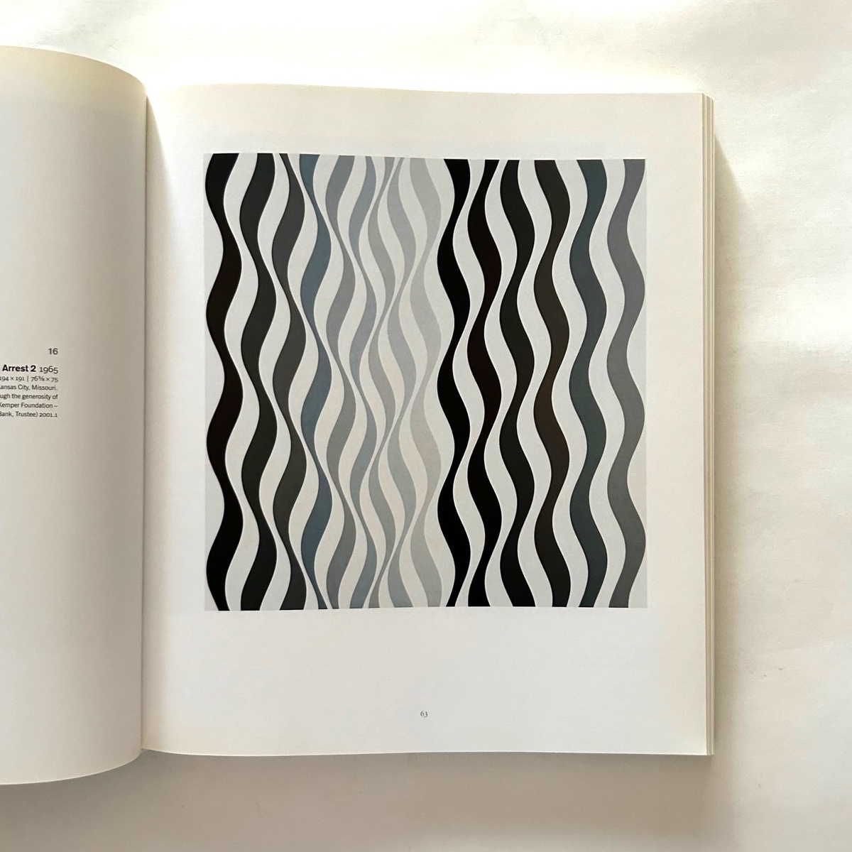Bridget Riley / Paul Moorhouse - 本まるさんかくしかく Blog