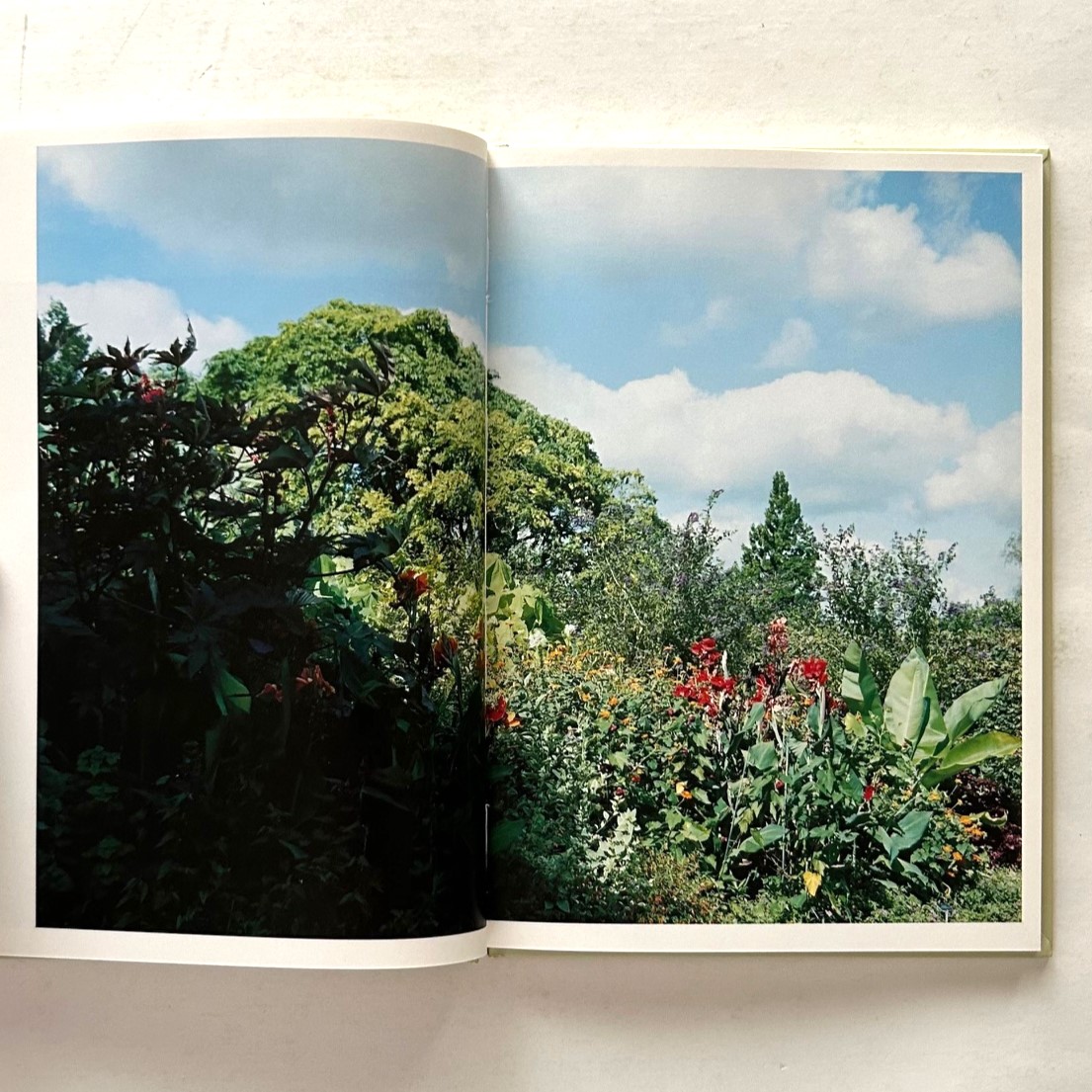 IN OUR NATURE / Takashi Homma - 本まるさんかくしかく Blog