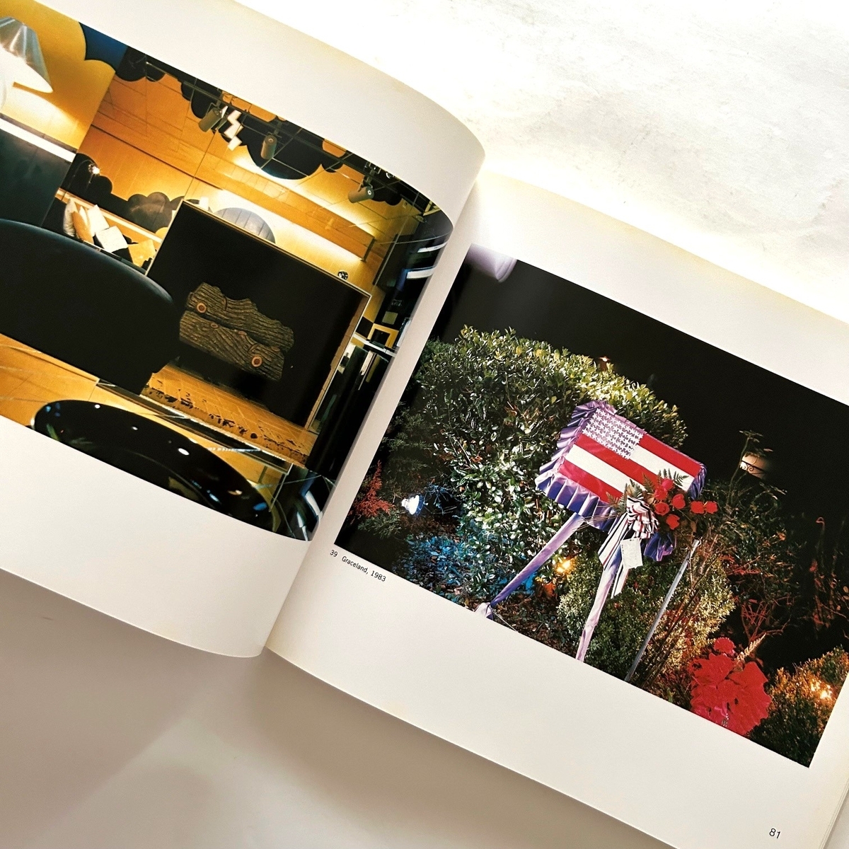 New Color New Work 18 Photographic Essays / Sally Eauclaire - 本 